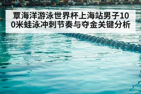 覃海洋游泳世界杯上海站男子100米蛙泳冲刺节奏与夺金关键分析